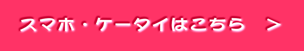 �@�X�}�z�E�P�[�^�C�͂�����@���@